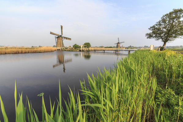 Green grass frames the windmills reflected in the canal Kinderdijk Rotterdam South Holland Netherlands Europe