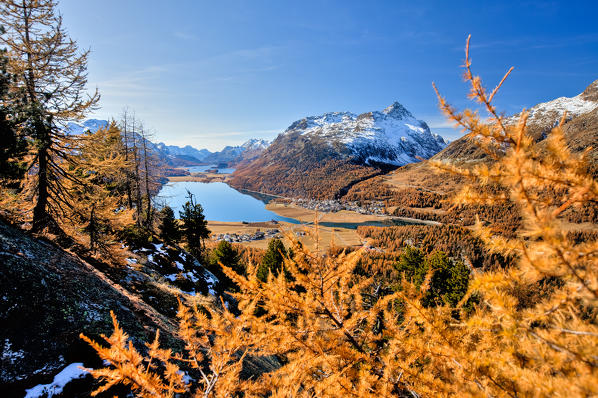 Autumn colors in Sils. Engadine. Canton of Graubünden Switzerland Europe