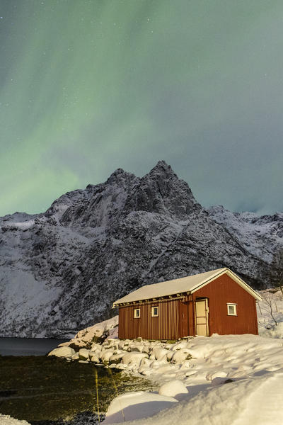 Northern Lights illuminate snowy peaks and the wooden cabin on a starry night at Budalen Svolvaer Lofoten Islands Norway Europe