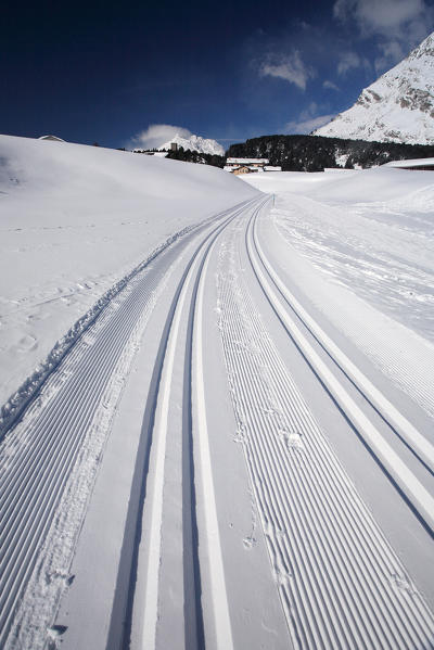 Cross-country skiing at Maloja Pass. Canton of Graubünden Engadine Switzerland Europe