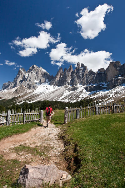 Hiker arriving at the Brogles refuge. In the background the Odle. Funes Valley. Dolomites. Trentino Alto Adige. Italy Europe