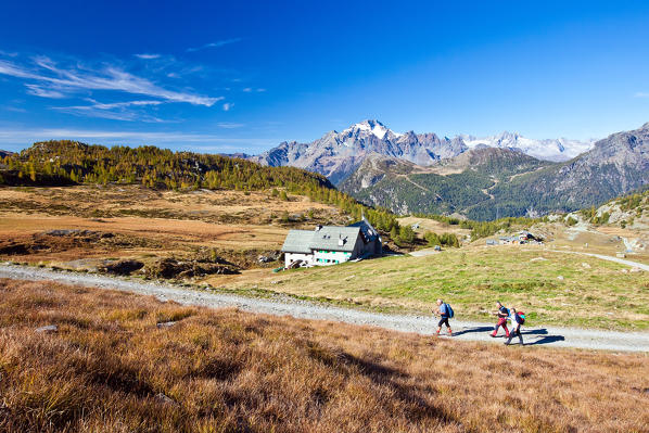 Hikers walking near the Refuge Ca Runcasch during an autumn day. Valmalenco. Valtellina. Lombardy. Italy Europe