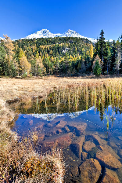 Peak of San Gian and peak of Surlej are reflected in the clear waters of Lej Marsch. Saint Moritz Engadine. Grisons Switzerland. Europe