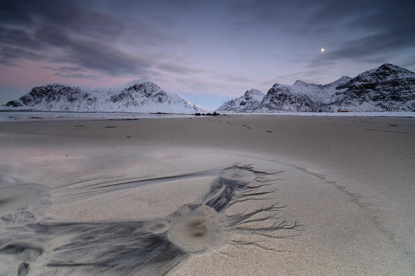 Full Moon and snowy peaks in the surreal scenery of Skagsanden beach Flakstad Nordland county Lofoten Islands Norway Europe