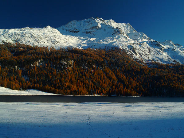 The Piz Corvatsch seen from the village of Silvaplana in Engadine, Switzerland Europe