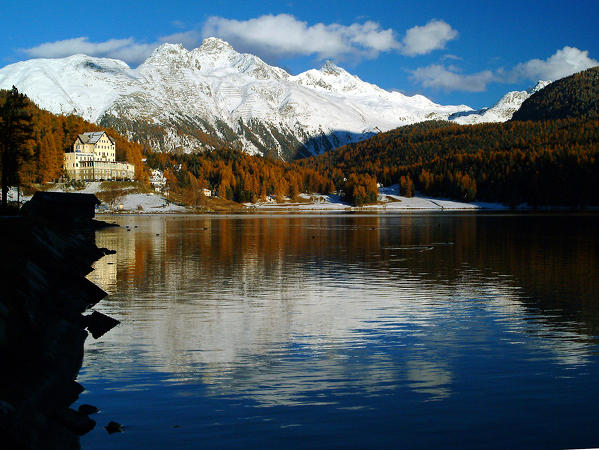 The snow-capped peaks of the Piz Languard and Piz Muragl reflecting in the Lake Saint Moritz surrounded by yellow larches at sunset, Engadine, Switzerland Europe