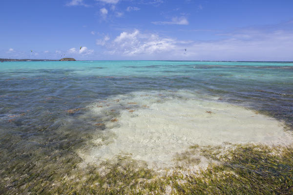 The turquoise shades of the Caribbean Sea Green Island Antigua and Barbuda Leeward Island West Indies