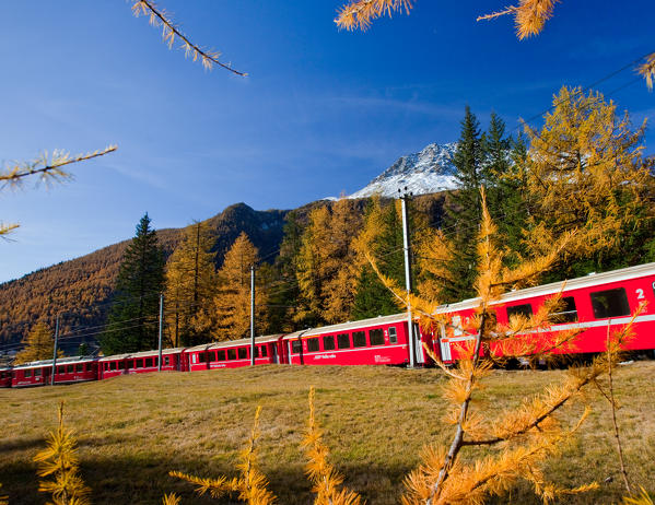 The Bernina Express in the autumn landscape of Val Poschiavo, Switzerland Europe