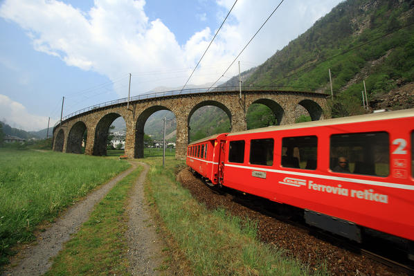 The Bernina Express in the meadows by the viaduct in Brusio, Val Poschiavo, Switzerland Europe