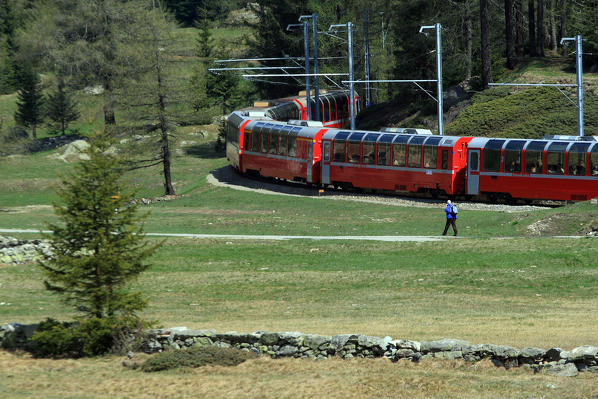 Walking by the railway of the Bernina Express in Val Poschiavo, Switzerland Europe