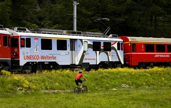 A biker running in the same direction of the Bernina Express in Val Poschiavo, Switzerland Europe