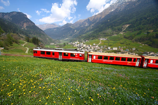 The Bernina Express passing by the village of Privilasco, Val Poschiavo, Switzerland Europe