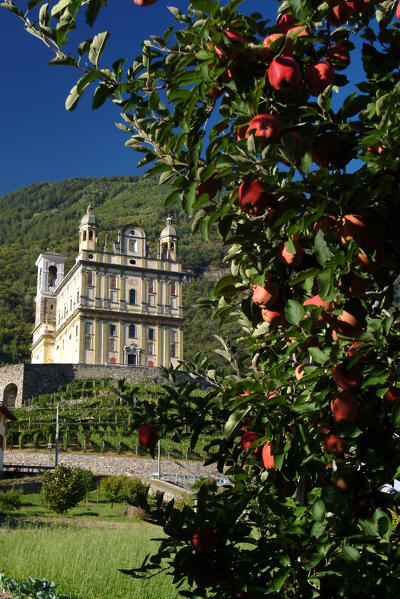 The Santa Casa in Tresivio surrounded by apples tres where apples are ready to be picked, Valtellina, Lombardy Italy Europe