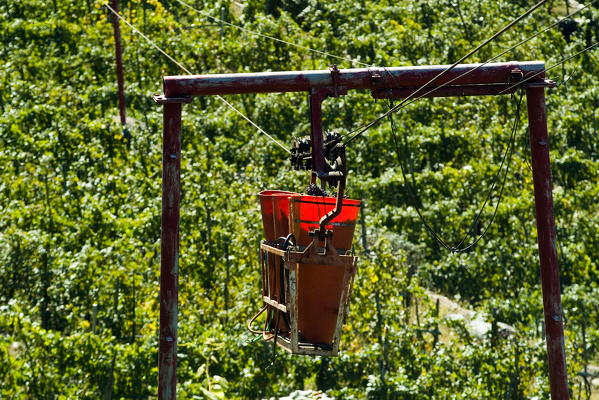 On the sunny Rhaetian slopes one can find terrace upon terrace of vineyards supported by dry stone wall, the fruit of the ancient labours of man. Indeed they are so striking as to have been included on the proposed Italian list of UNESCO World Heritage sites Lombardy, Italy Europe