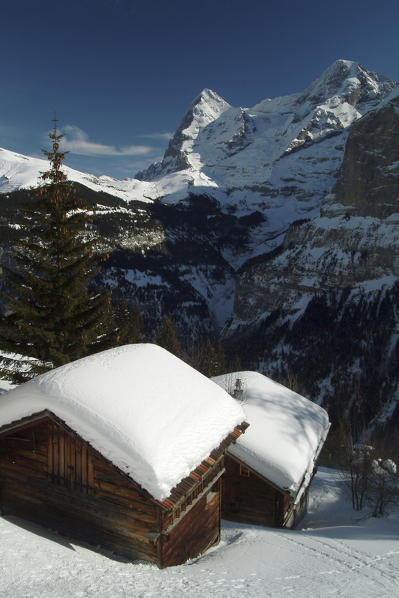 The peaks of the Eiger and the Monch from the huts by Murren, Bernese Alps, Switzerland Europe