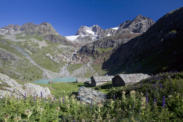 Typical huts of the Alpe Gembrè, near the lake of Alpe Gera in Valmalenco and in the background the glacier of Piz Argient and zupò in the group of Bernina. Lombardy Italy Europe