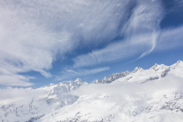 Aletsch Glacier seen from Betterhorn surrounded by snow Bettmeralp district of Raron canton of Valais
Switzerland Europe