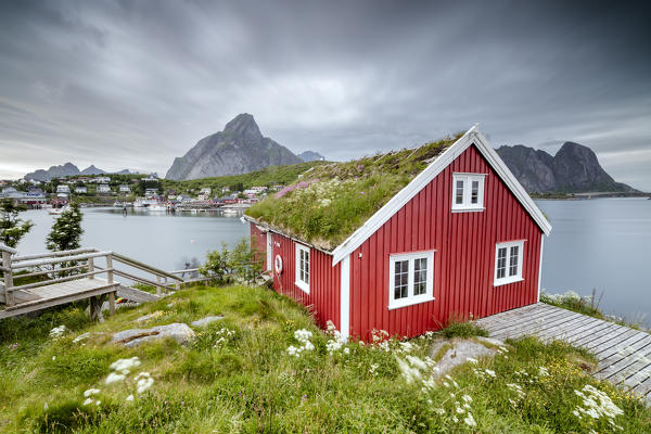 Green grass and flowers frame the typical Rorbu surrounded by sea Reine Nordland county Lofoten Islands Northern Norway Europe