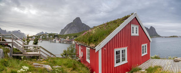 Panoramic of the typical Rorbu surrounded by grass and sea Reine Nordland county Lofoten Islands Northern Norway Europe