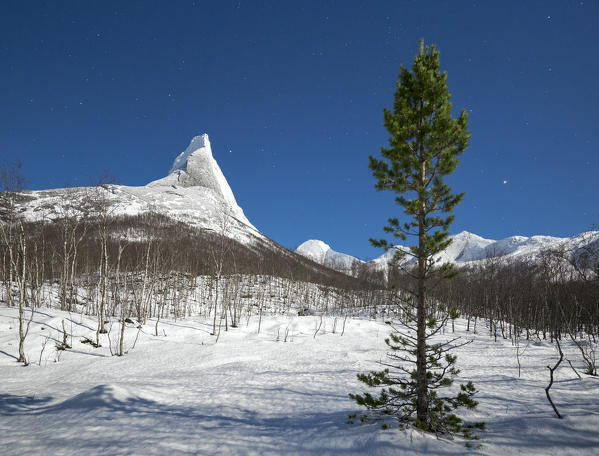 Trees and woods frame the granitic snowy peak of the Stetind mountain under the starry sky Tysfjord Nordland Norway Europe