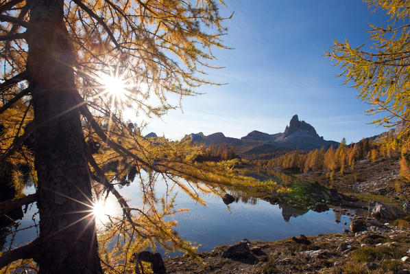 The autumn is painting the landscape surrounding the Lake Federa. In the background is the Becco di Mezzodi in the Dolomites of Belluno by Cortina d'Ampezzo Trentino Alto Adige Italy Europe