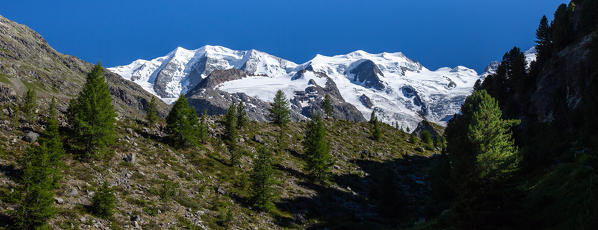 Summer panoramic view of the valley of Morteratsch with the perennial glaciers of the Bernina group Engadin, Switzerland Europe