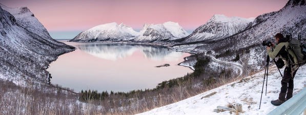 Photographer under the pink sky at dawn surrounded by snowy peaks reflected in sea Bergsbotn Senja Troms County Norway Europe