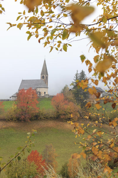 The yellow leaves of a larch frame the alpine church at fall St. Magdalena Funes Valley South Tyrol Dolomites Italy Europe