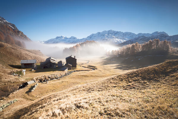 Morning fog on the mountain huts of Buaira framed by snowy peaks Sils Maloja Canton of Graubünden Engadine Switzerland Europe