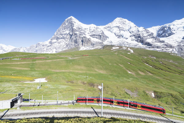 The Wengernalpbahn rack railway runs across meadows and snowy peaks Wengen Bernese Oberland canton of Bern Switzerland Europe