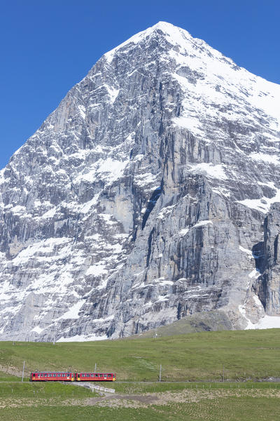 The Wengernalpbahn rack railway runs across meadows and snowy peaks Wengen Bernese Oberland canton of Bern Switzerland Europe