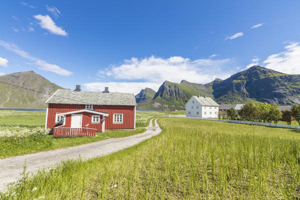 Green grass and meadows frame the typical houses called Rorbu in the fishing village of Flakstad Lofoten Islands Norway Europe