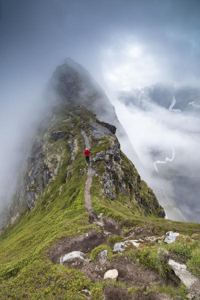 Hiker runs on a steep path to reach the peak of the Reinebringen mountain under the mist Moskenes Lofoten Islands Norway Europe