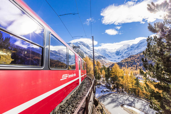 Bernina Express train surrounded by colorful woods and snowy peaks Bernina Pass Canton of Graubünden Engadin Switzerland Europe