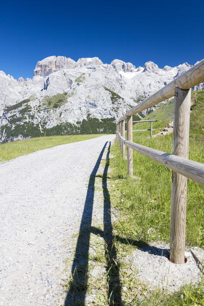 Blue sky and sun on the path to the rocky peaks Doss Del Sabion Pinzolo Brenta Dolomites Trentino Alto Adige Italy Europe