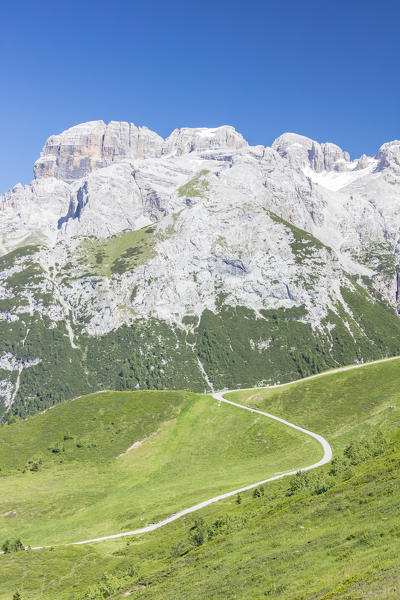 Green meadows frame the high rocky peaks Doss Del Sabion Pinzolo Brenta Dolomites Trentino Alto Adige Italy Europe