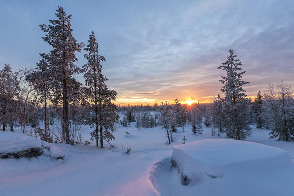 The last lights of the arctic sunset on the snowy woods Vennivaara Rovaniemi Lapland region Finland Europe