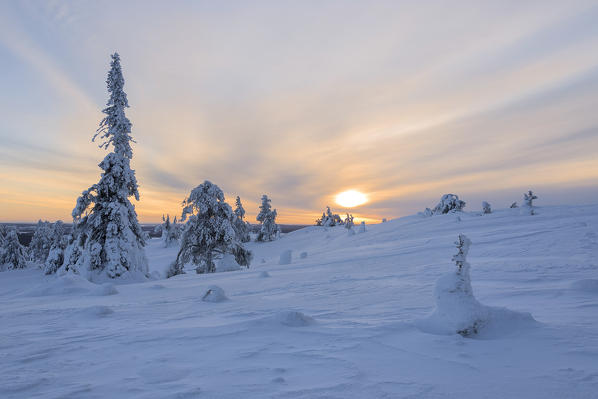 Sun and clouds frame the the snowy woods in the cold arctic winter Ruka Kuusamo Ostrobothnia region Lapland Finland Europe