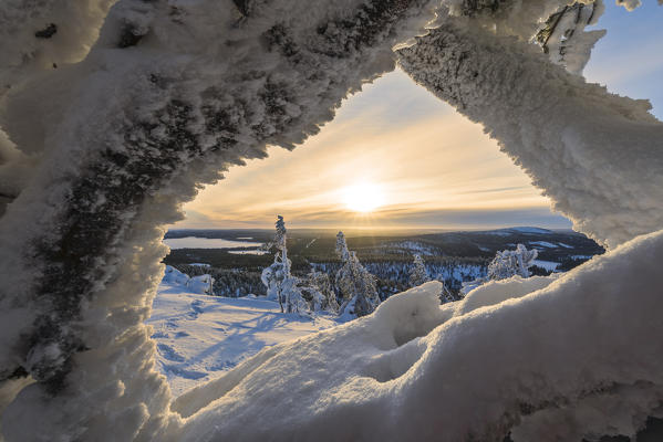 Sun and clouds frame the the frozen tree branches in the snowy woods Ruka Kuusamo Ostrobothnia region Lapland Finland Europe