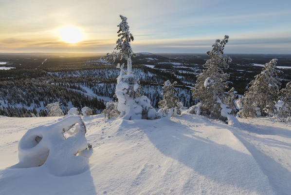 Sun and blue sky frame the the snowy woods in the cold arctic winter Ruka Kuusamo Ostrobothnia region Lapland Finland Europe