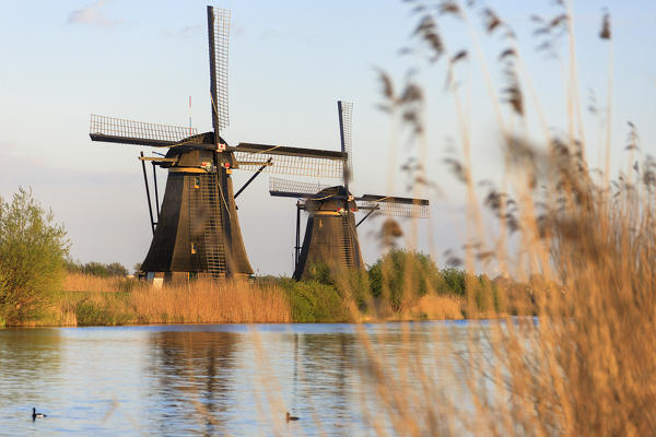 Traditional Dutch windmills Unesco World Heritage Site Kinderdijk Molenwaard South Holland The Netherlands Europe