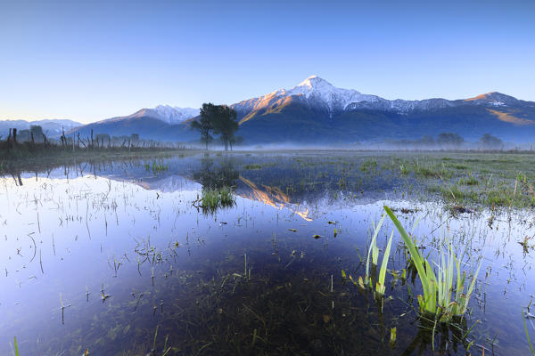 The snowy peak of Mount Legnone reflected in the flooded land at dawn Pian di Spagna  Valtellina Lombardy Italy Europe