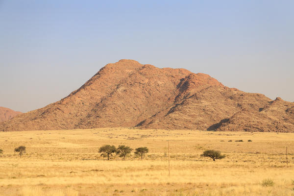 Isolated trees in the arid land framed by granite red rocks Sesriem Area Naukluft Mountains Namib Desert Namibia Southern Africa