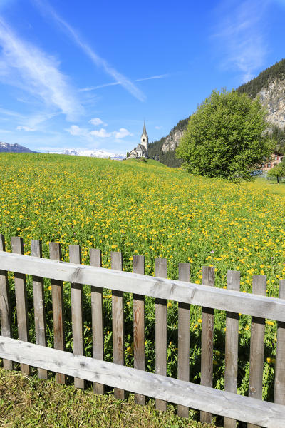 Wood fence and flowers, Schmitten, Canton of Graubünden, district of Albula, Switzerland