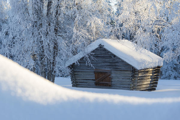 Wooden hut in the snowy forest, Kiruna, Norrbotten County, Lapland, Sweden