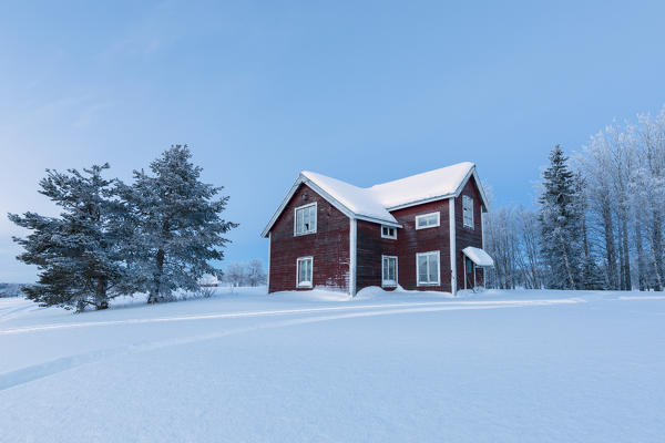 Dusk on wood house in the boreal forest (Taiga) covered with snow, Kiruna, Norrbotten County, Lapland, Sweden