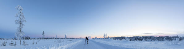 Panoramic of photographer in the boreal forest (Taiga) at sunset, Kiruna, Norrbotten County, Lapland, Sweden