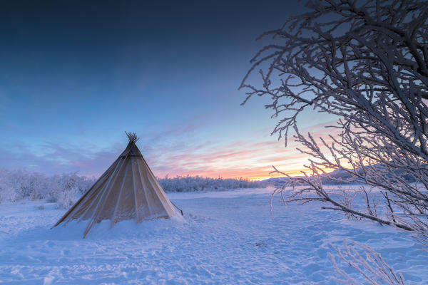 Pink sky at sunrise on isolated Sami tent in the snow, Abisko, Kiruna Municipality, Norrbotten County, Lapland, Sweden