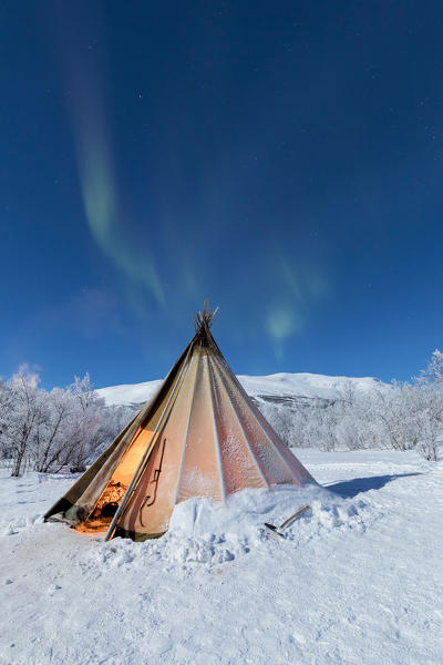 Isolated Sami tent in the snow under Northern Lights, Abisko, Kiruna Municipality, Norrbotten County, Lapland, Sweden