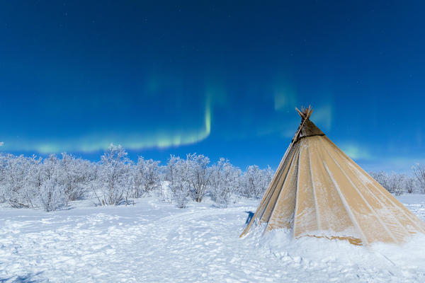 Isolated Sami tent in the snow under Northern Lights, Abisko, Kiruna Municipality, Norrbotten County, Lapland, Sweden